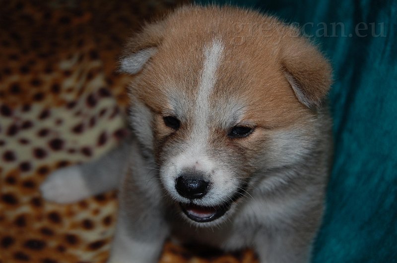 14 chtěl bych něco říct.jpg